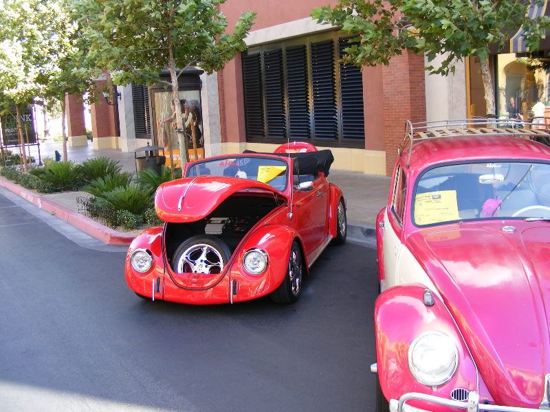 Bug-o-rama 052.jpg