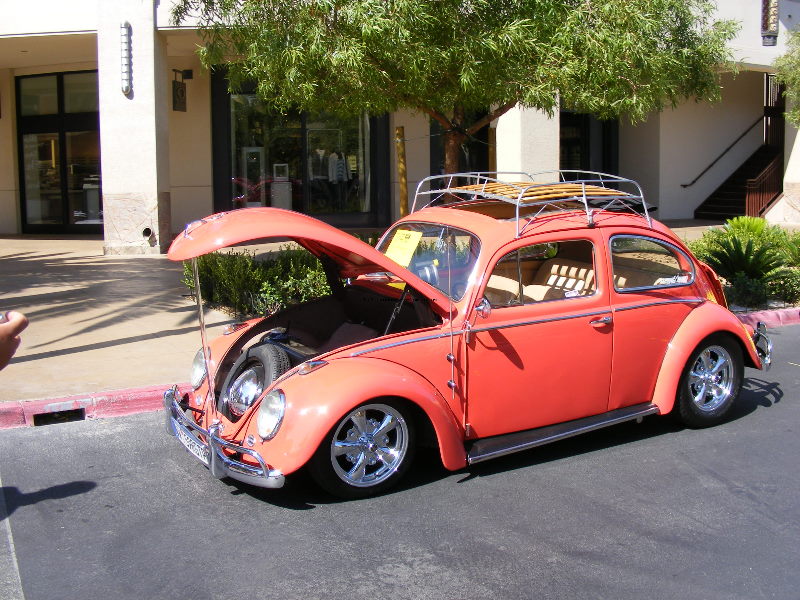 Bug-o-rama 059.jpg