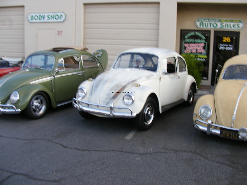 Bug-o-rama 125.jpg