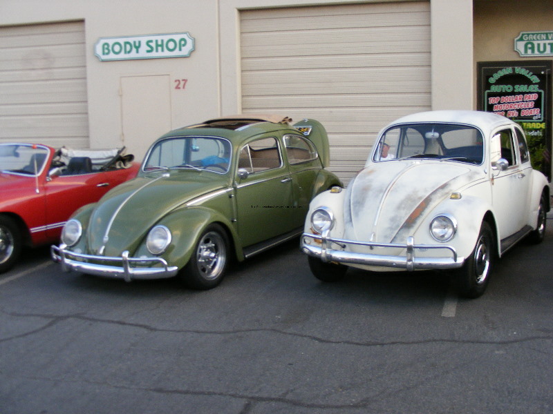 Bug-o-rama 128.jpg