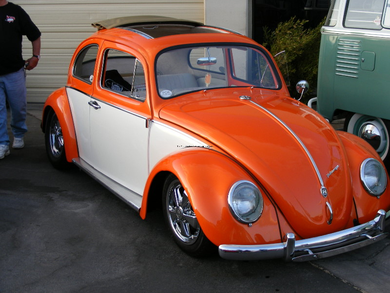 Bug-o-rama 137.jpg