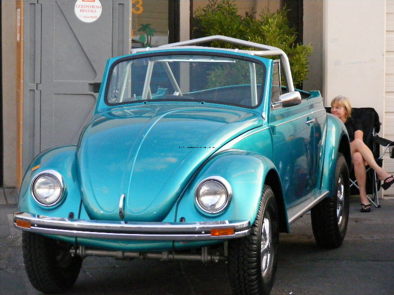 Bug-o-rama 154.jpg