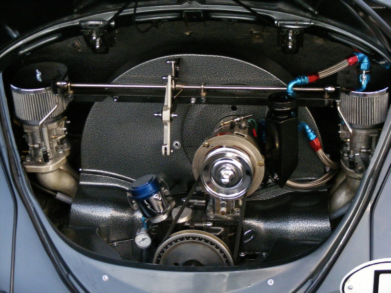 Bug-o-rama 163.jpg