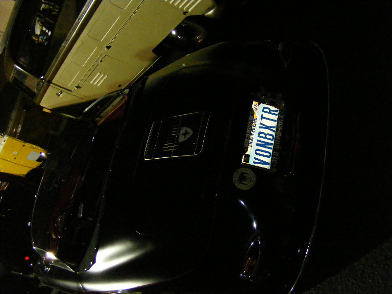Bug-o-rama 204.jpg