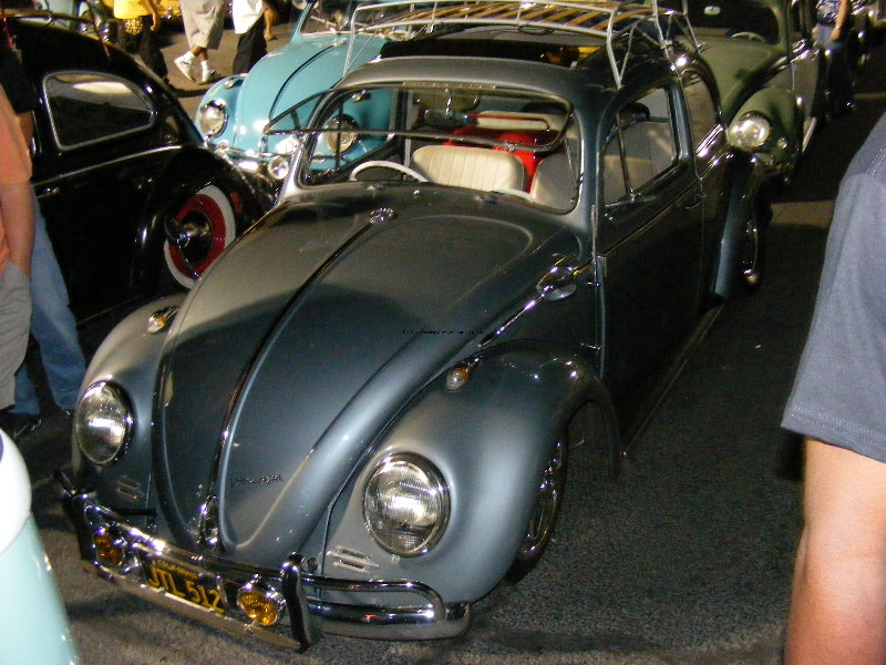Bug-o-rama 245.jpg