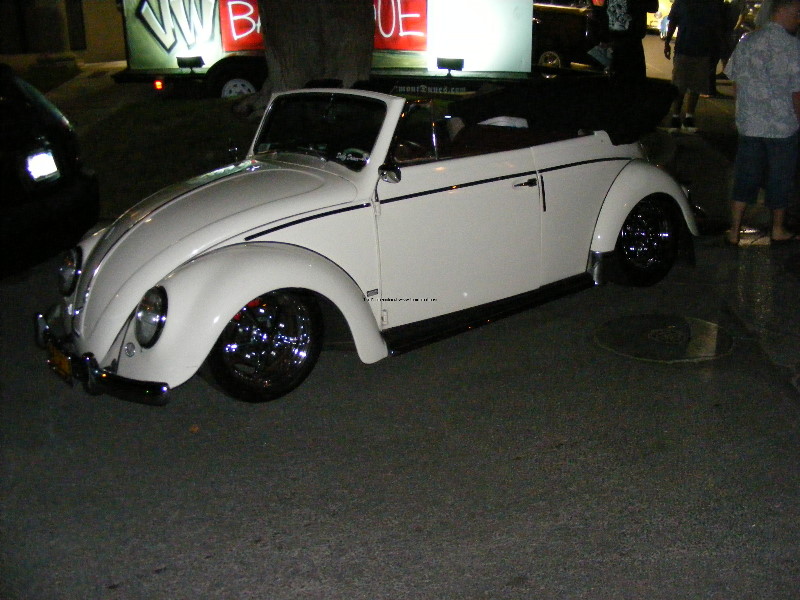 Bug-o-rama 248.jpg