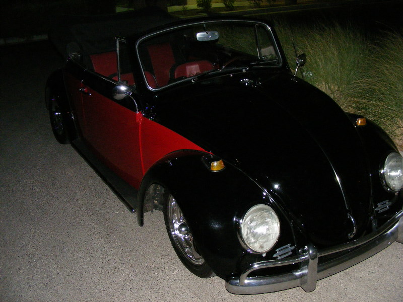 Bug-o-rama 258.jpg