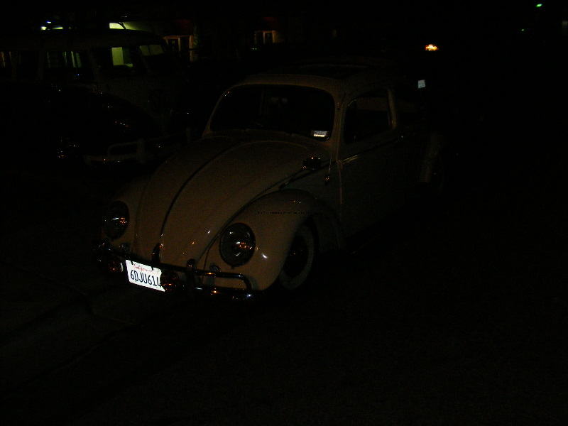 Bug-o-rama 263.jpg