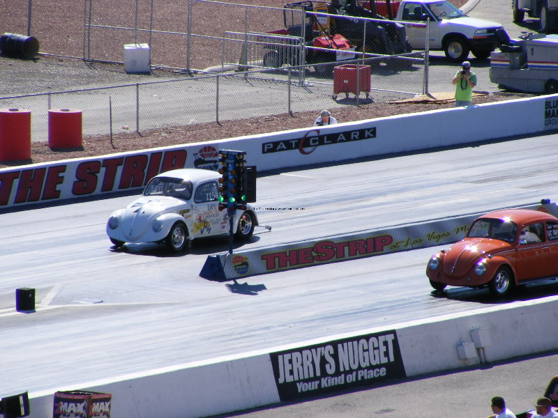 Bug-o-rama 304.jpg
