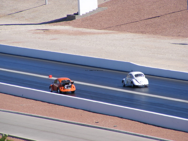 Bug-o-rama 306.jpg
