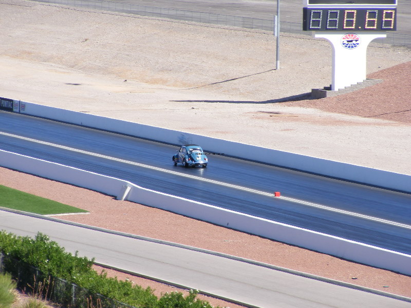 Bug-o-rama 309.jpg