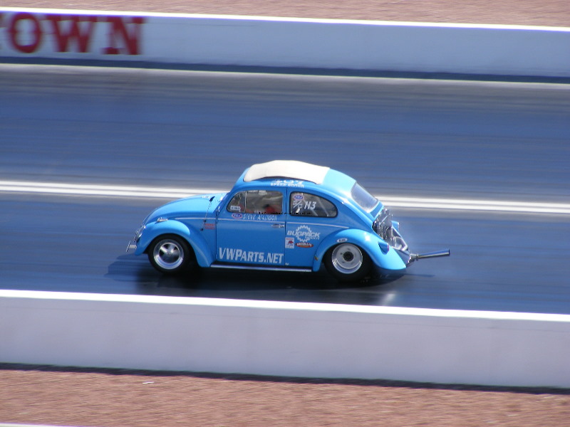 Bug-o-rama 311.jpg