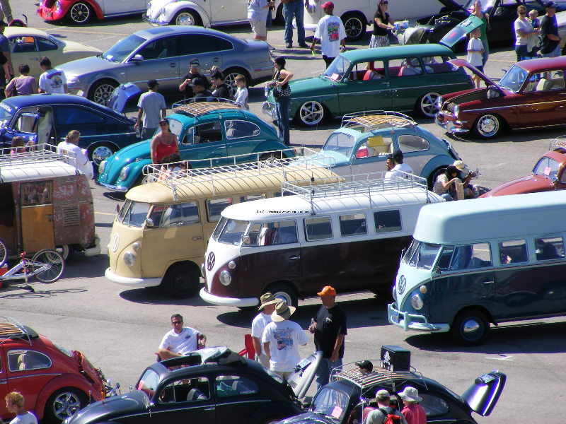 Bug-o-rama 336.jpg