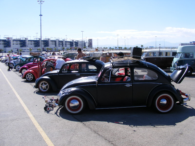 Bug-o-rama 345.jpg