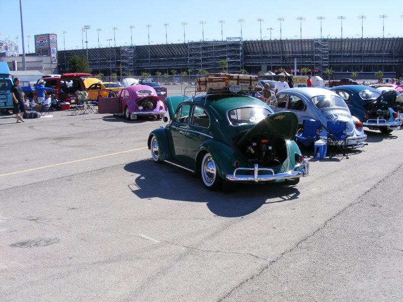 Bug-o-rama 351.jpg