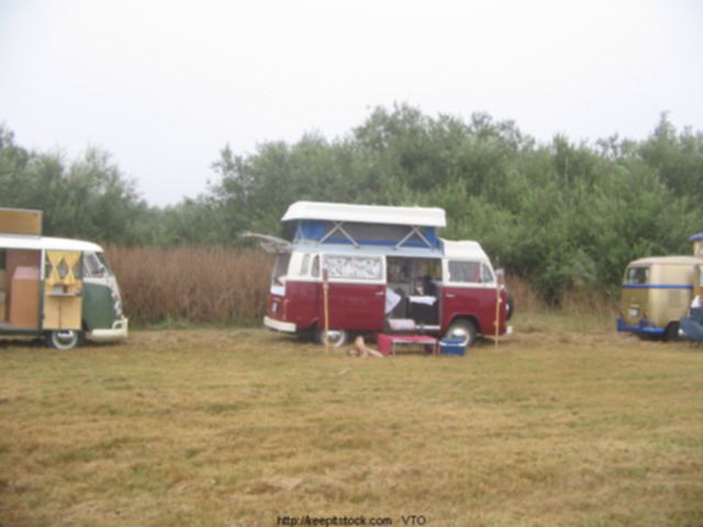 pic 154.jpg