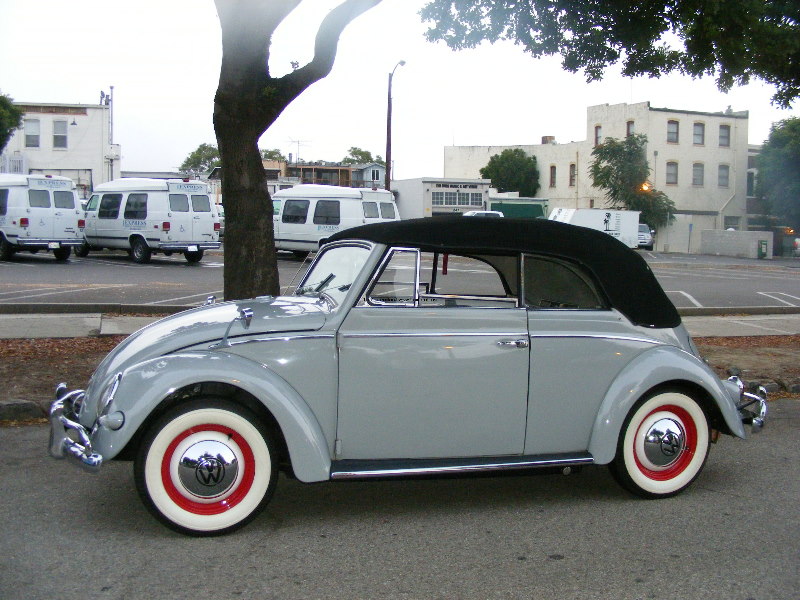 vwpanic 006.jpg