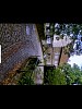 20170626_093302.jpg