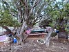 20180407_165052.jpg