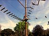 IMG_20180505_155246503.jpg