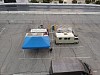 org_95ea0119b3478916_1552183162000.jpg