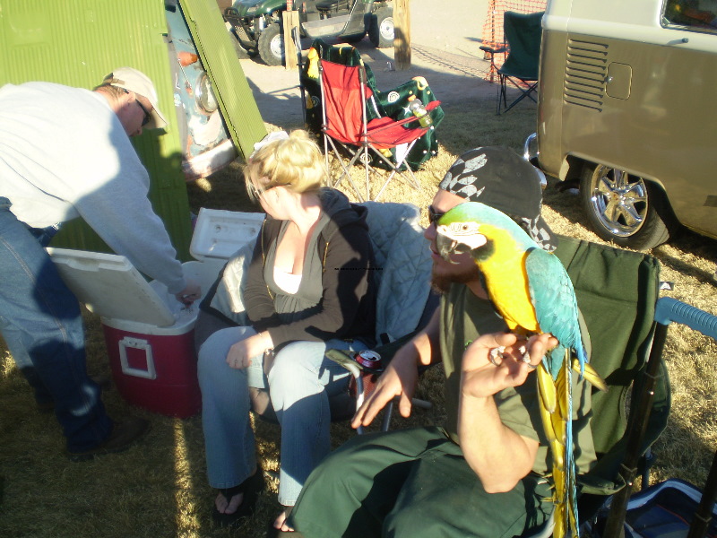 BusesByTheBridge2008081.jpg
