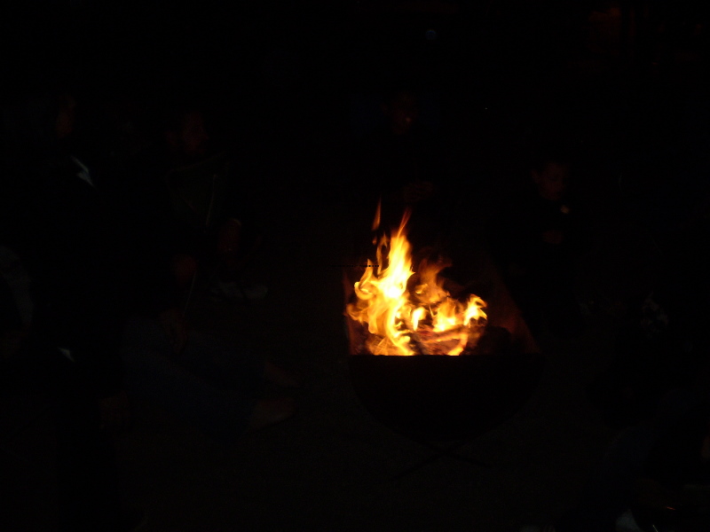 BusesByTheBridge2008148.jpg