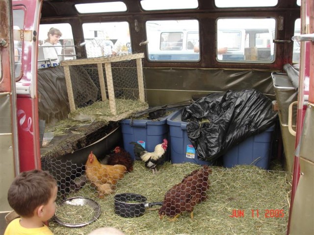 BlackStarCampout2005116.jpg