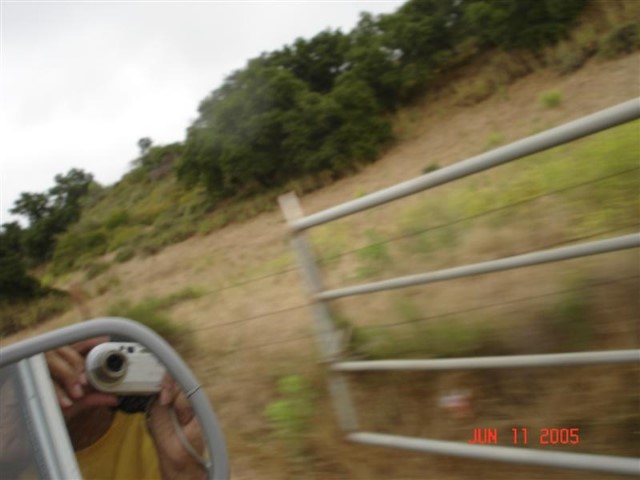 BlackStarCampout2005169.jpg