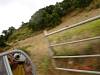 BlackStarCampout2005169.jpg