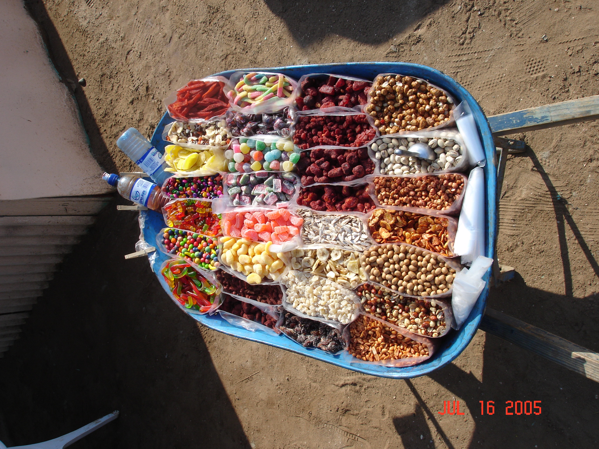 DSC01514.JPG