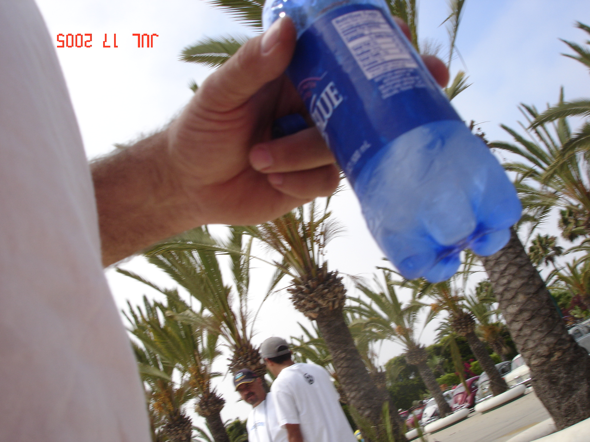 DSC01528.JPG