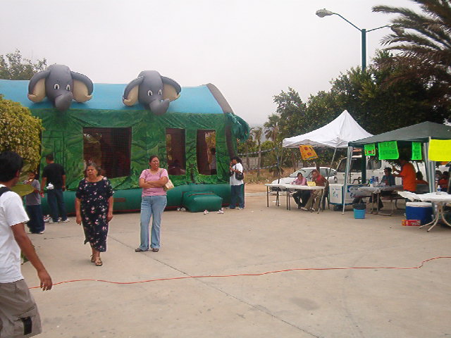 IM002447.jpg