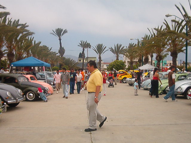 IM002454.jpg