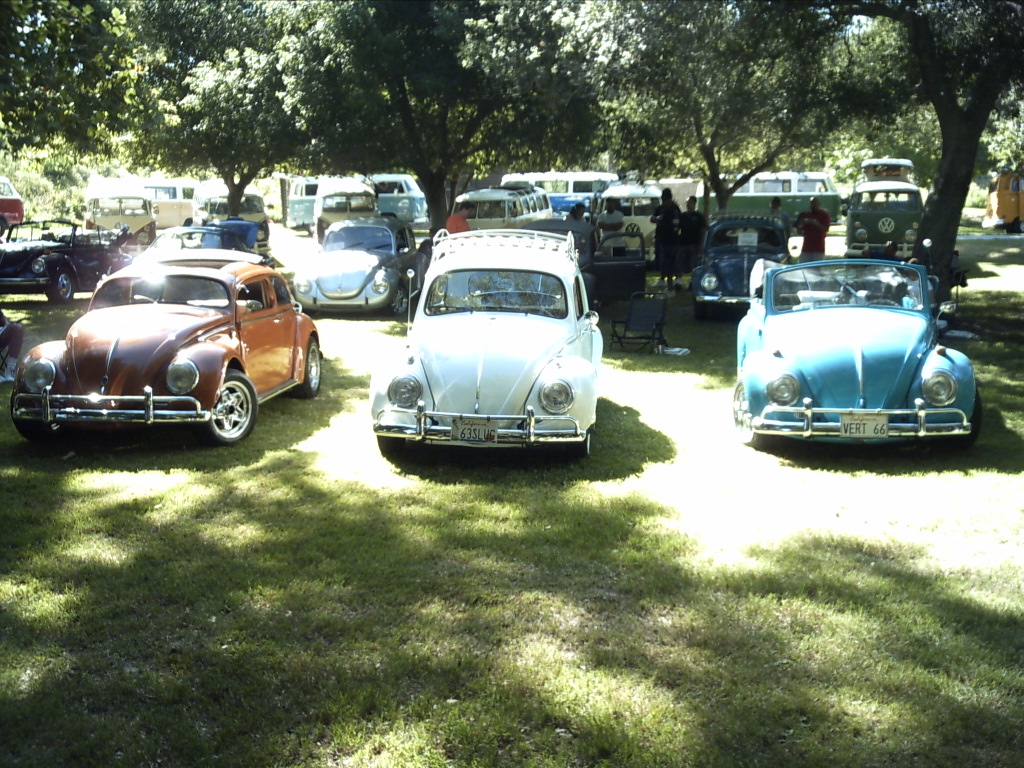 PICT0050.JPG