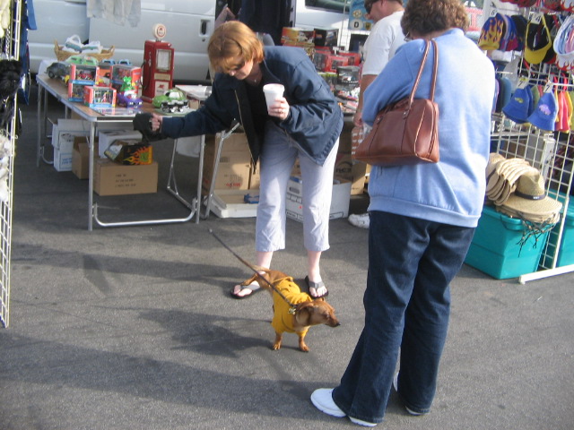 octo2006 105.jpg