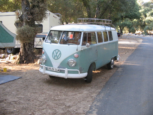 tlr 019.jpg