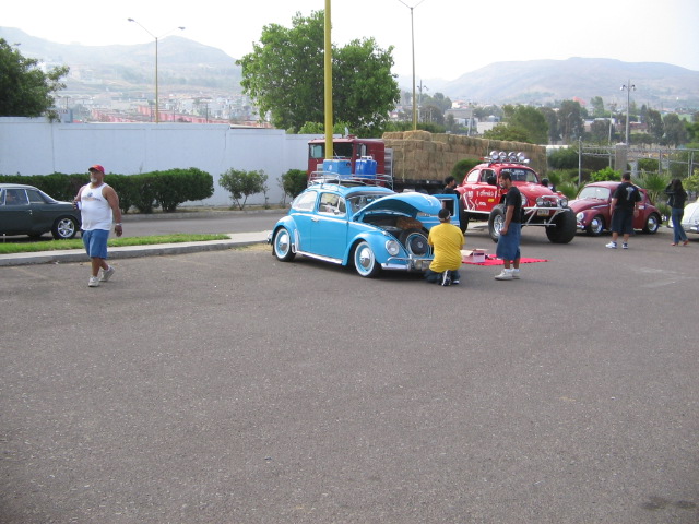 tj 088.jpg