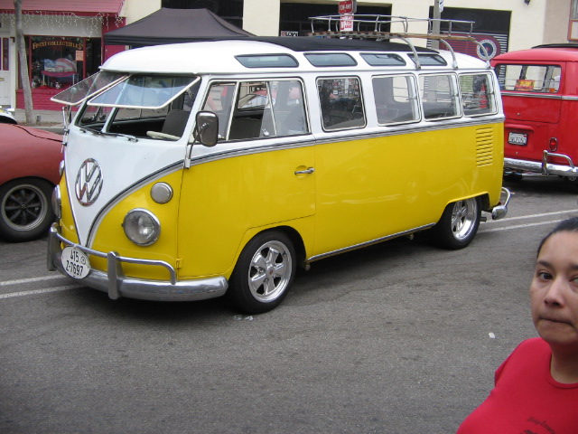 vwpanic (161).jpg