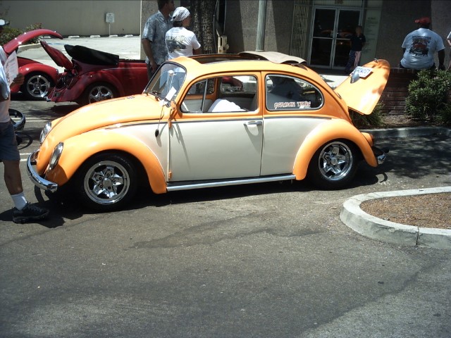 vwpanic205.JPG