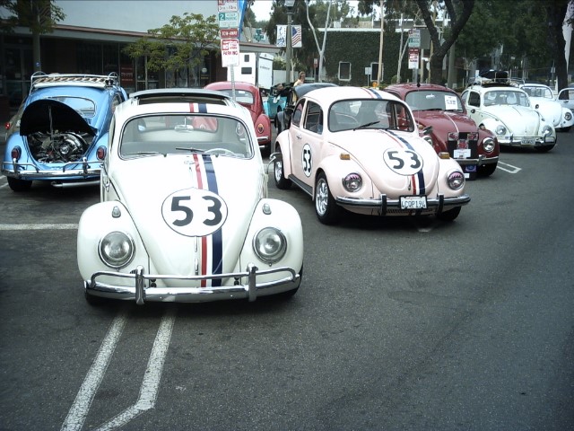 vwpanic229.JPG