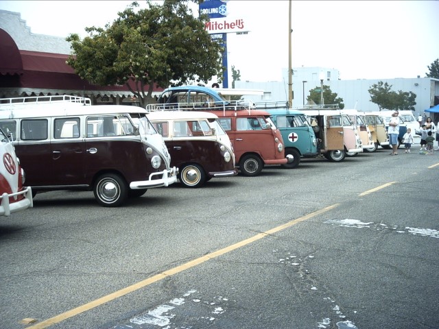 vwpanic234.JPG