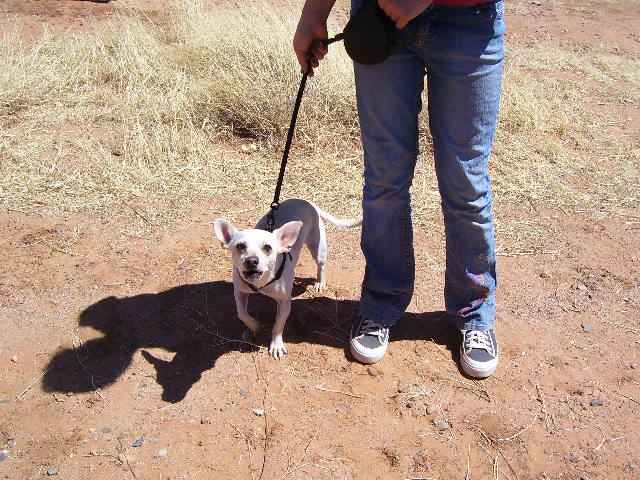 Fiesta De' Whetstone 06 026.jpg